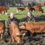 Boeren in het Bos