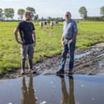 Caring Farmer Hoeve Ackerdijk @Gabriela Hengeveld_1