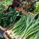 tuinderij eyckenstein