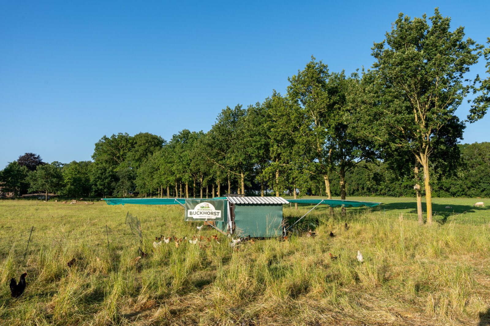 FotoLandgoedBuckhorst