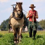 Boer Sil kleiner