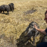 De Boerderij van Bertus en Riek