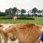 Matthijs-de-Haan-750x350