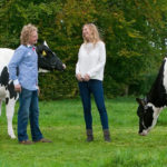 Melkveebedrijf Koonstra