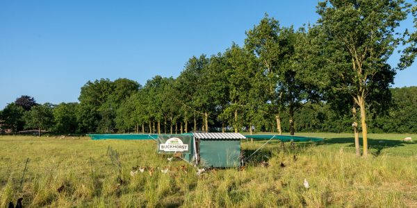 FotoLandgoedBuckhorst