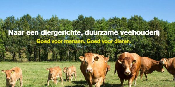 deltaplan veehouderij