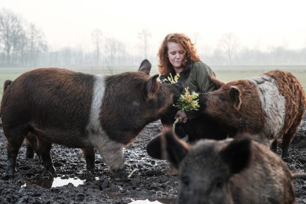 inge-de goed gevulde