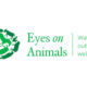 Eyes on Animals