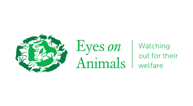 Eyes on Animals