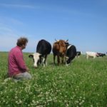 thumbnail_image006-1